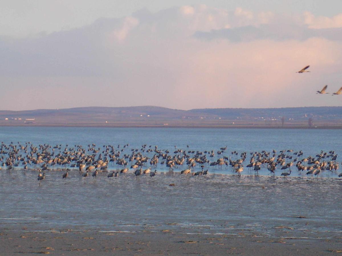 Casas Rurales La Laguna Y La Buhardilla De La Lagu Gallocanta Zewnętrze zdjęcie