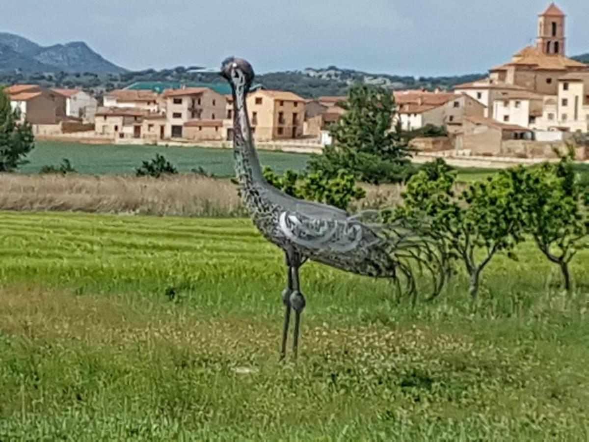 Casas Rurales La Laguna Y La Buhardilla De La Lagu Gallocanta Zewnętrze zdjęcie