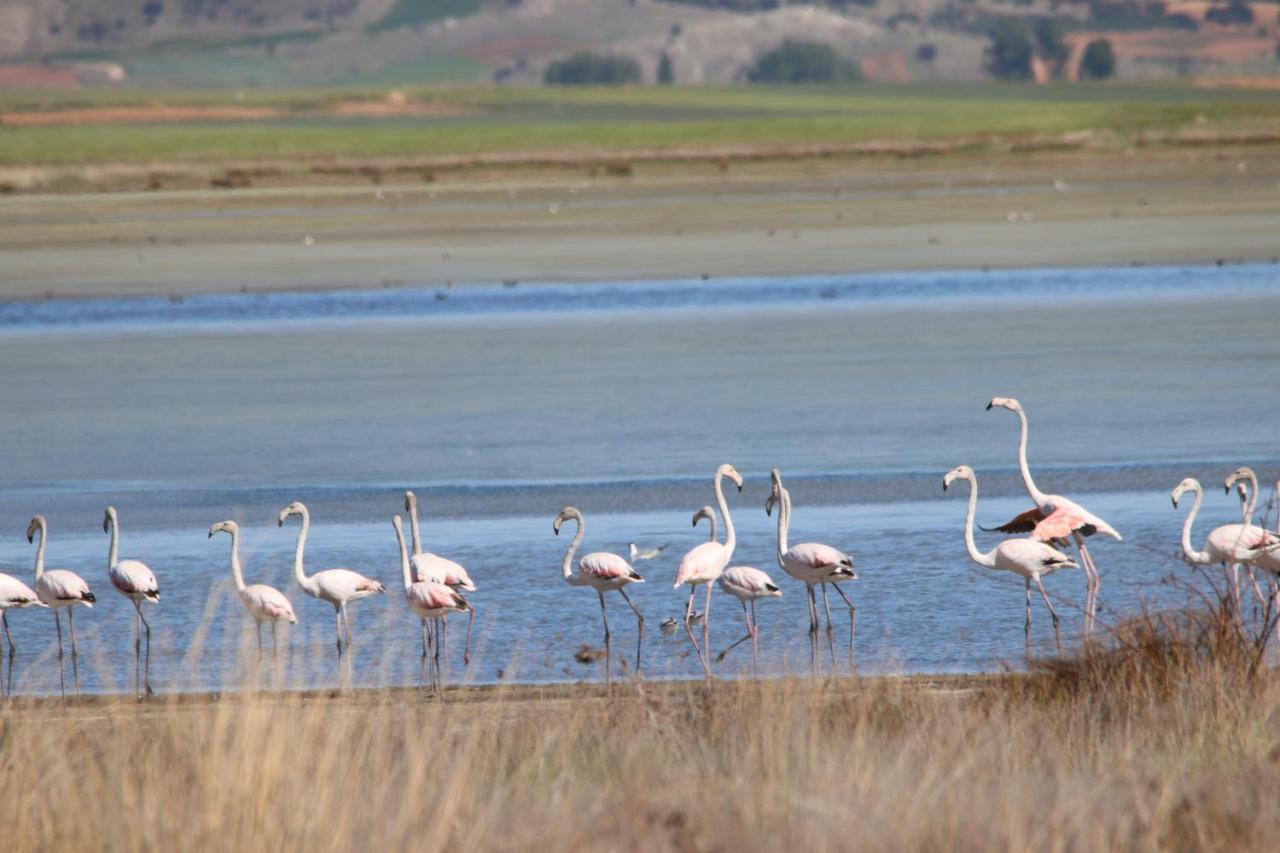 Casas Rurales La Laguna Y La Buhardilla De La Lagu Gallocanta Zewnętrze zdjęcie